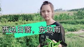 农村瓜姐吃蔬菜,农村蔬菜的绿色盛宴