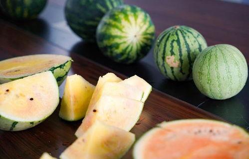 浙江工商吃瓜事件,校园风波背后的真相与反思