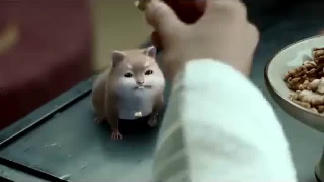 无极县吃瓜,瓜香四溢，品味生活新风尚