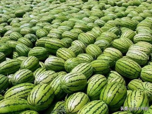 吃瓜美篇,吃瓜美篇带你领略明星幕后故事