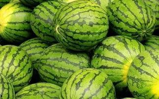 吃的瓜是什么瓜,揭秘“吃的瓜”背后的瓜种传奇