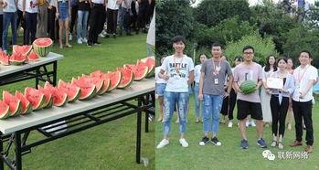 清苑吃瓜大赛,一场全民参与的夏日狂欢盛宴