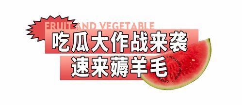 吃瓜优选,揭秘热门瓜子的美味与营养