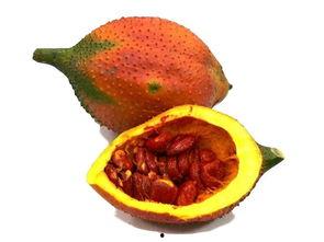 天气太热请吃瓜,清凉一“瓜”解暑来！