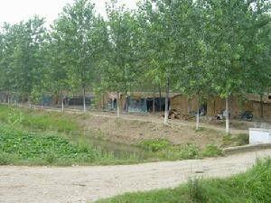 沭阳耿圩吃瓜,瓜香四溢的夏日美食之旅