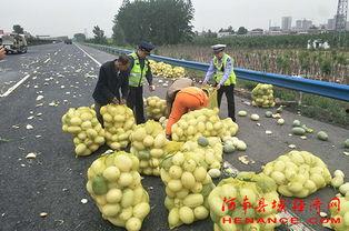 昊天吃瓜群众,揭秘娱乐圈幕后风云