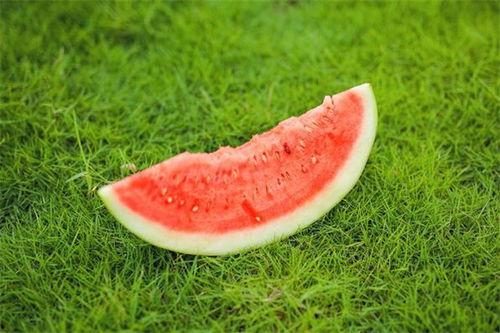 吃瓜吃的嘴发麻,揭秘过度追剧的后果