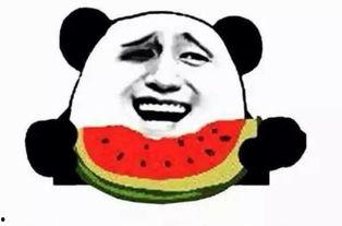 吃半个瓜照片姿势,半瓜姿势演绎夏日风情