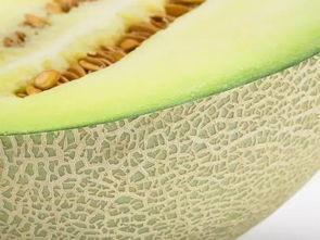 吃瓜真甜蜜,揭秘瓜果背后的甜蜜故事