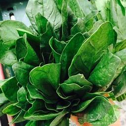 吃瓜罗伯特叶柯,揭秘娱乐圈的“罗伯特”现象