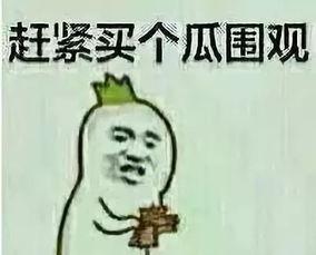 pvz吃瓜群众,吃瓜群众眼中的植物大战僵尸