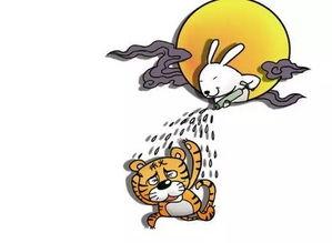 收藏不迷路吃瓜,揭秘美食收藏与趣味吃瓜之旅