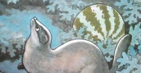 猹吃瓜么,一场生态界的趣味对话