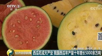 吃瓜群众视频播放量