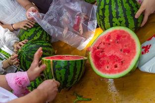 年前吃瓜视频,盘点那些年我们追过的热点事件