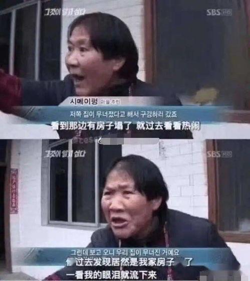 吃瓜爆雷,爆雷事件背后的真相与反思