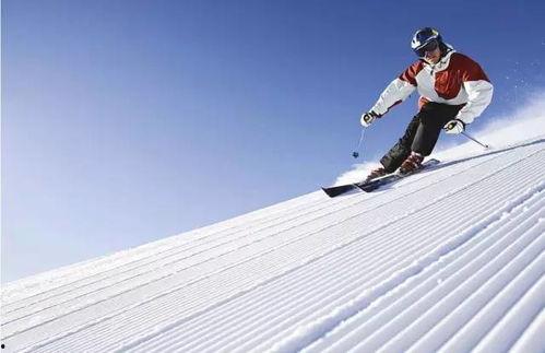 滑雪圈大型吃瓜现场,揭秘明星幕后趣事