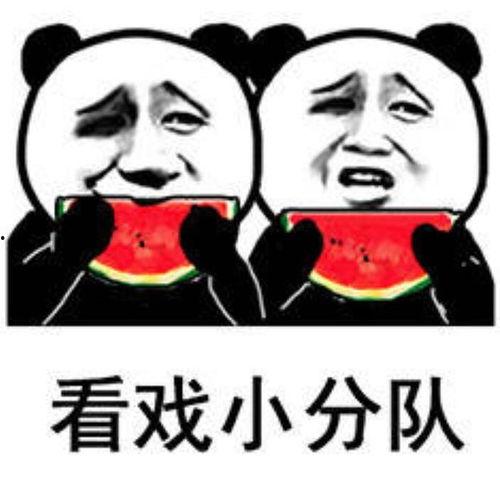 看戏吃瓜,瓜田李下，尽享观剧盛宴